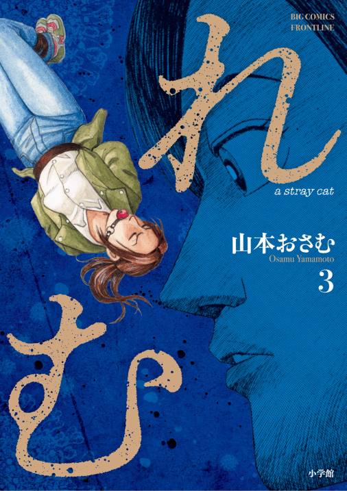 れむ a stray cat